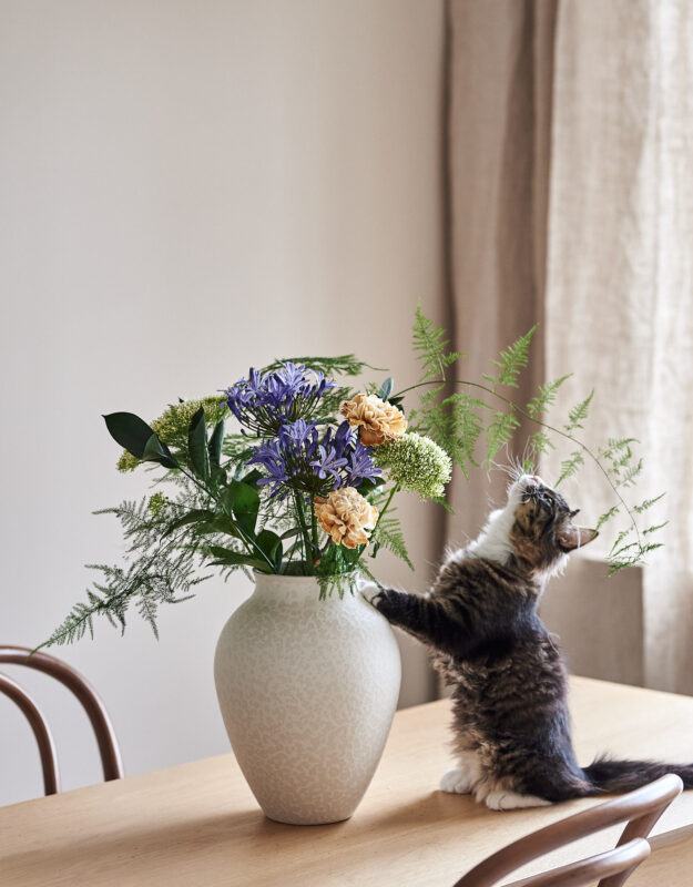 stora blompaketet