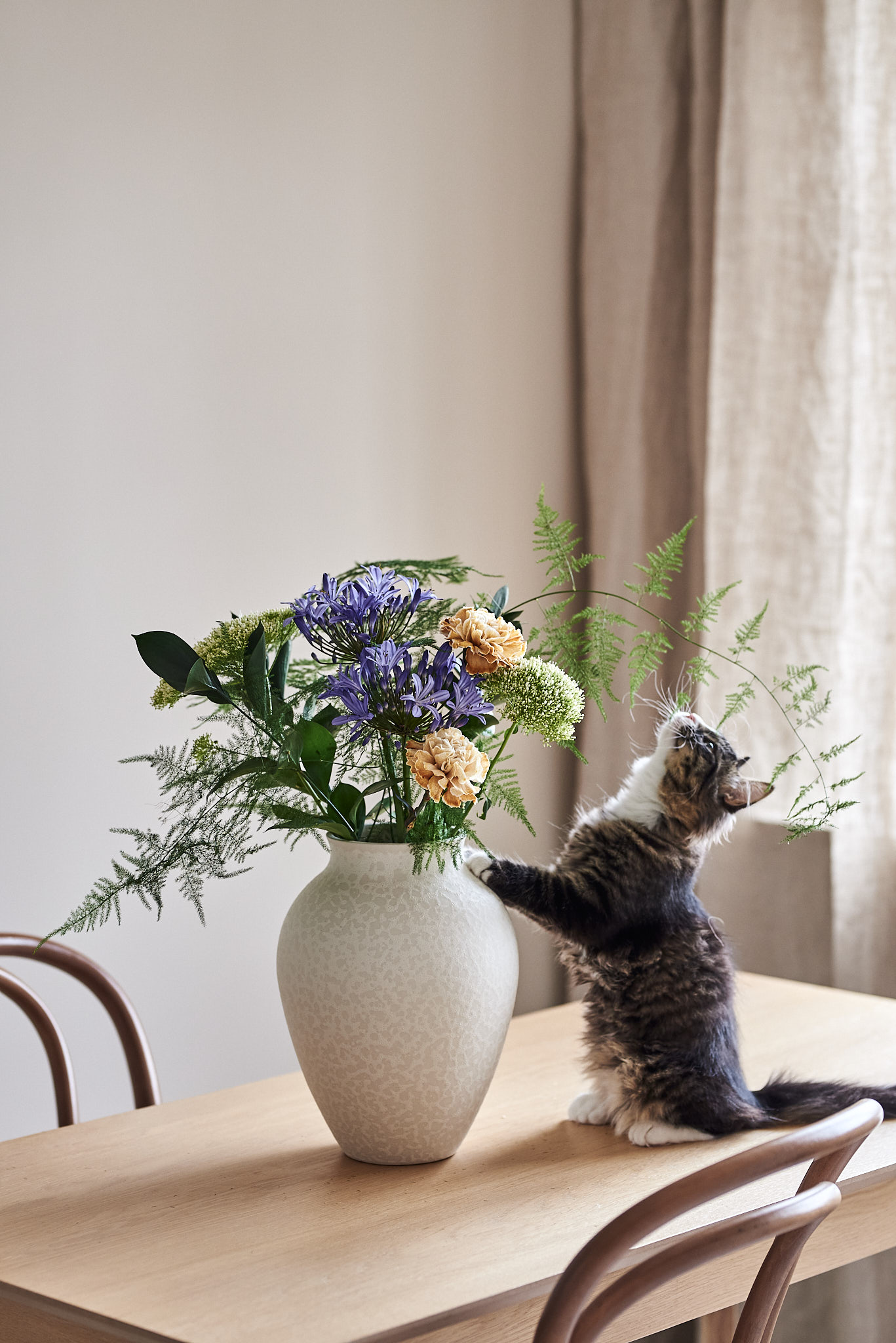 stora blompaketet