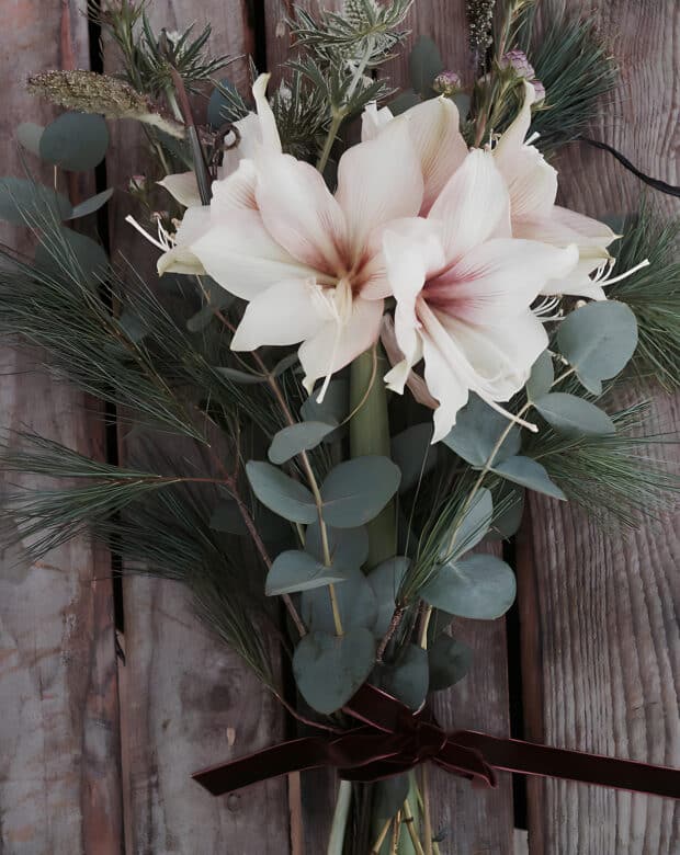 Amaryllis bukett Blombruket