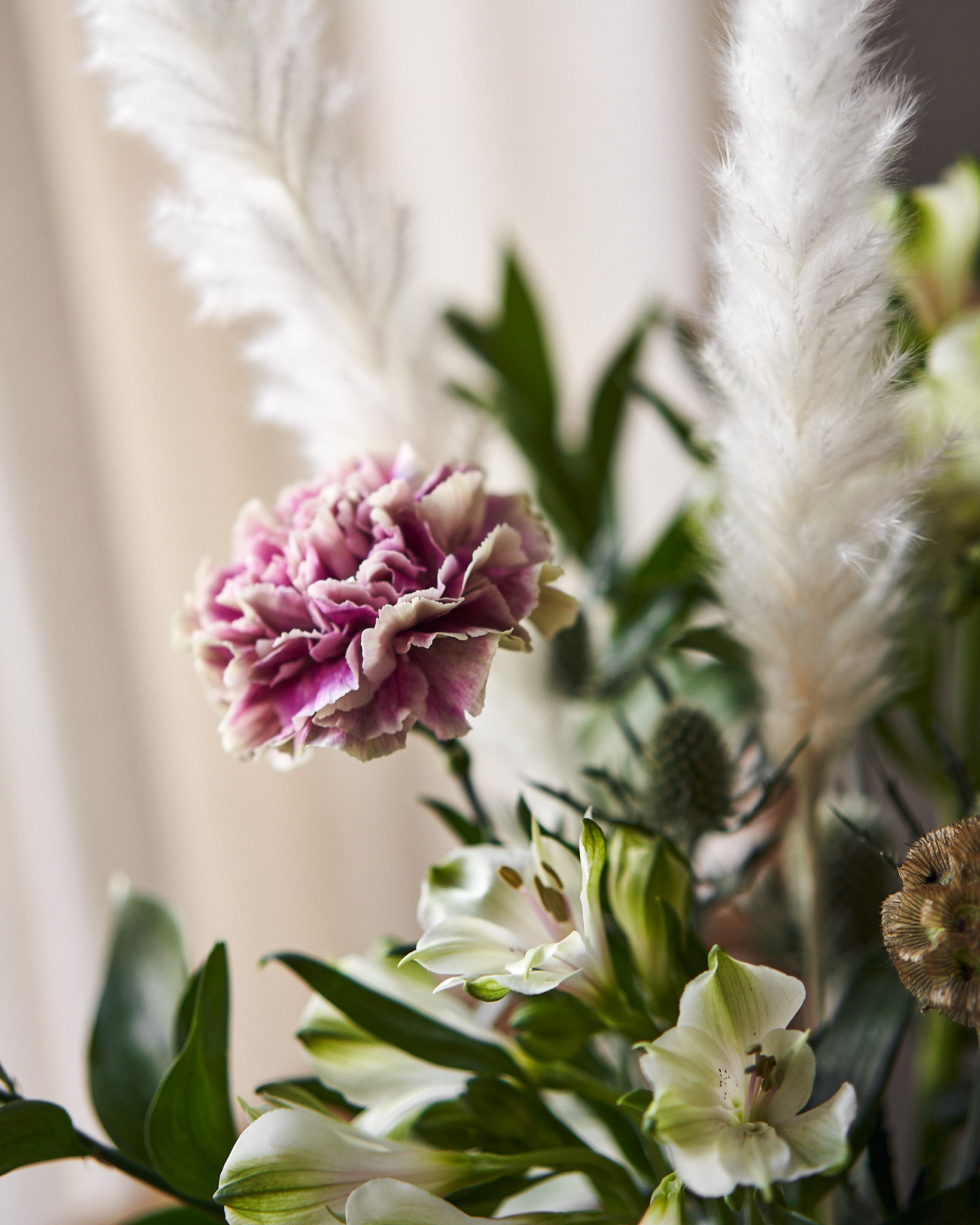 Nejlika, alstromeria, pampas